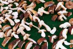 可食用的牛肝菌属蘑菇