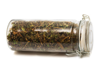 草本植物Jar