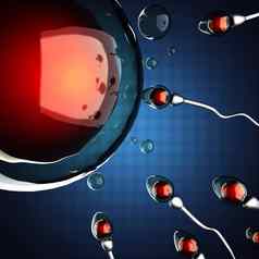 精子蛋细胞微观图像