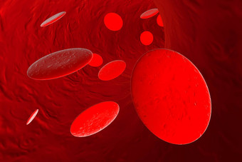 血红蛋白细胞血液中