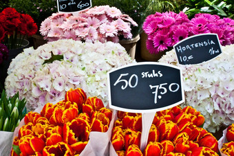 阿姆斯特丹花市场