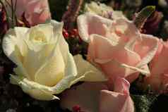 婚礼花阴影粉红色的玫瑰