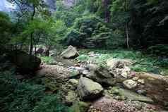 中国国家森林公园张家界