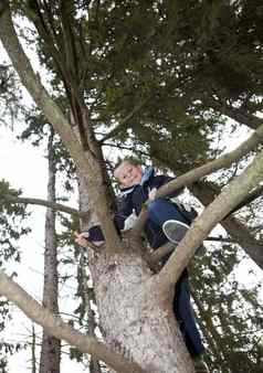 年轻的男孩攀爬树