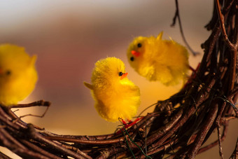 黄色的复活节鸡跳舞树枝