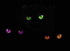 猫眼睛黑暗