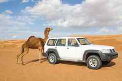 骆驼按摩车