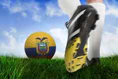 足球引导踢厄瓜多尔球
