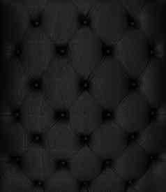 乌贼图片真正的黑色的皮革室内装潢