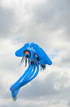 蓝色的水母风筝