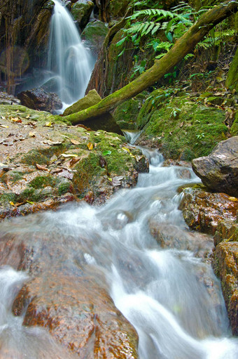 小瀑布岩石森林泰国