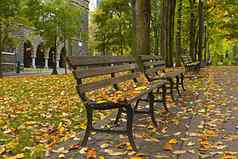 秋天叶子长椅公园