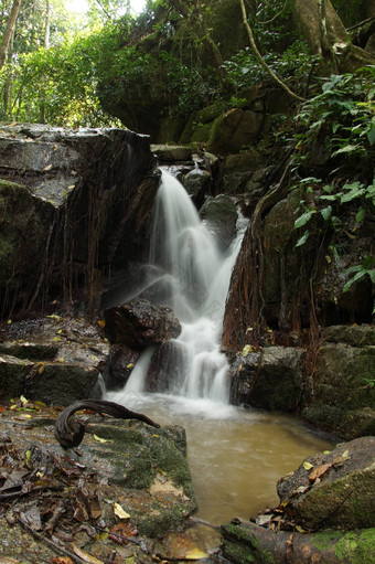 小瀑布岩石森林泰国