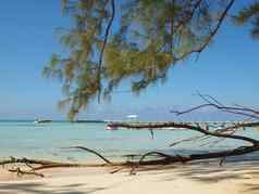 开曼群岛岛屿海滩