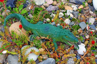 塑料数字鳄鱼岩石花园