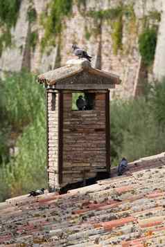 屋顶瓷砖砖烟囱