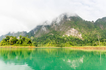 美丽的绿色河山