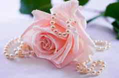 珍珠项链软粉红色的玫瑰