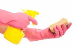 手粉红色的手套持有喷雾海绵