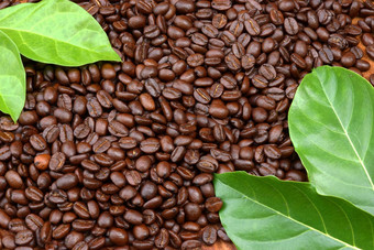 咖啡豆木背景