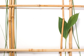 框架图片竹子