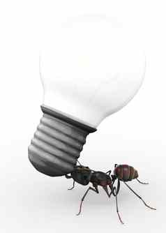 蚂蚁携带灯泡