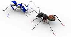 蚂蚁会说话的画蓝色的蚂蚁