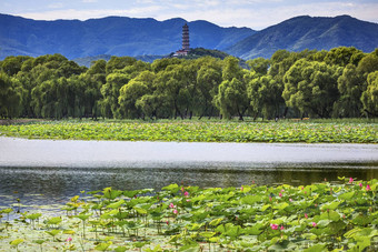 悦冯宝塔莲花花园夏天宫北京中国