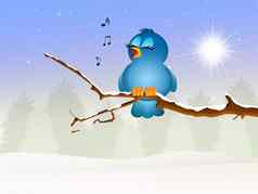 鸟唱歌
