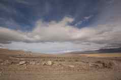 沙漠湖水色彩斑斓的风景自然荒野沙子下
