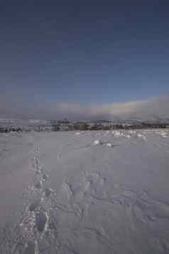 雪冬天早....平原农村雪户外场景