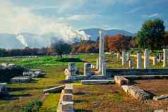 古董柱子权力植物特大城市希腊
