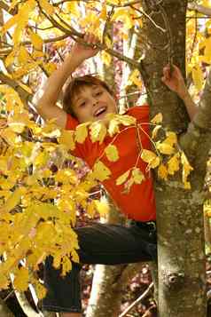孩子攀爬树分支机构