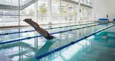 游泳运动员潜水池休闲中心