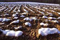 耕种冬天农田场覆盖雪