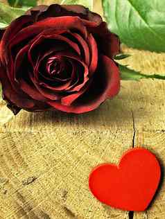 红色的玫瑰红色的心木表格