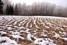 耕种冬天农田场覆盖雪