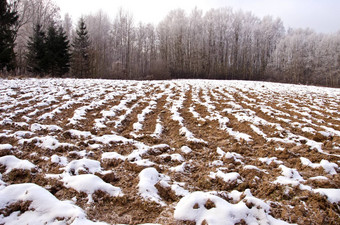 耕种<strong>冬天农田</strong>场覆盖雪