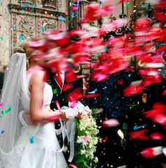 婚礼夫妇淋浴玫瑰花瓣