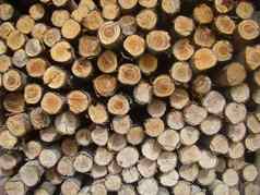 堆放排序松木材