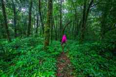 年轻的女人走热带雨林