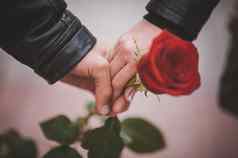 手夫妇持有红色的玫瑰