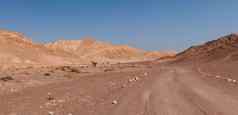 旅游小道岩石沙漠
