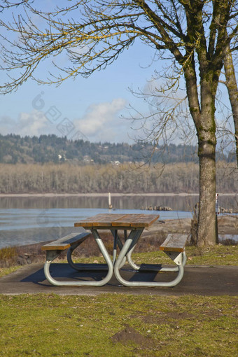 野餐板凳上视图oregn公园