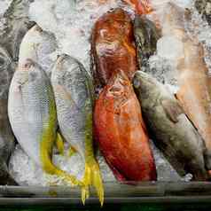 各种新鲜的鱼海鲜市场特写镜头背景