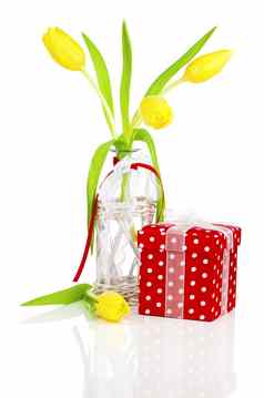 黄色的春天郁金香花红色的礼物盒子孤立的一点点