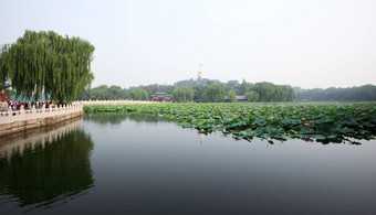 <strong>北海公园</strong>被禁止的城市北京
