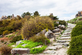 多石的楼梯假山基辅植物花园