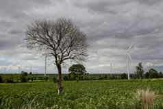 风涡轮机纯能源风车字段泰国