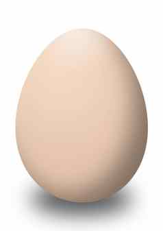 棕色（的）蛋孤立的白色